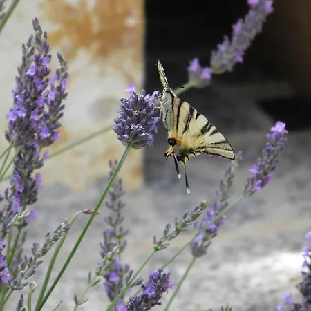 아파트 View 크르크